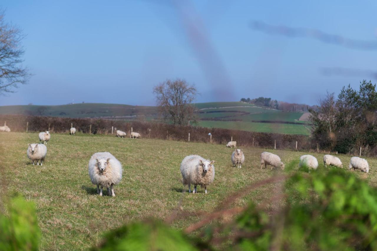 Beautiful Countryside Cottage On The North Wales Coast 阿贝尔格莱 外观 照片